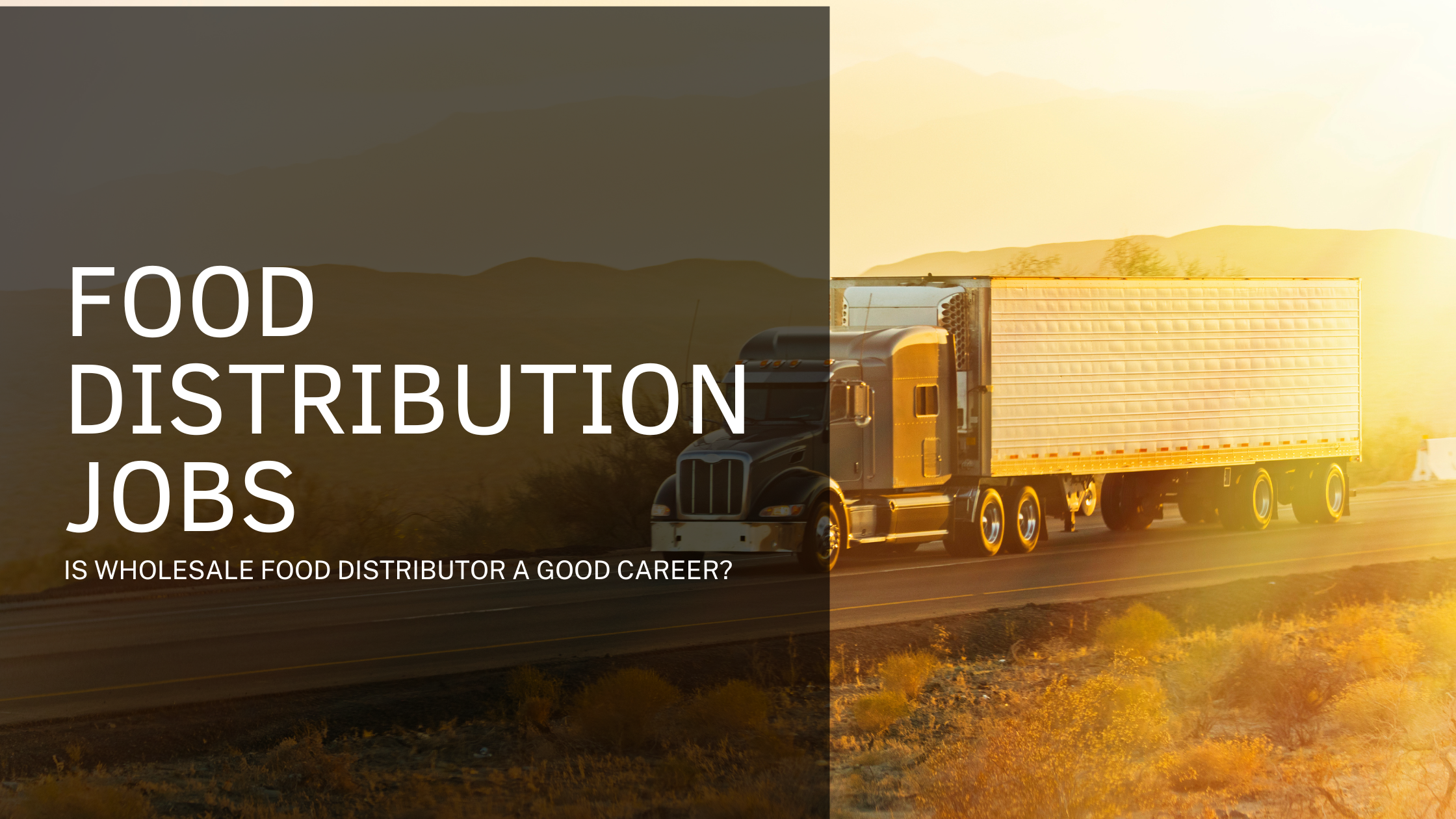 Food Distribution Jobs: Is Wholesale Food Distributor a Good Career?